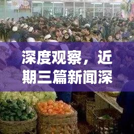 深度观察，近期三篇新闻深度报道的独家解读与深度分析