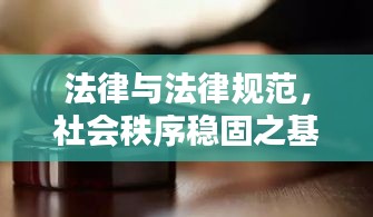 法律与法律规范，社会秩序稳固之基石
