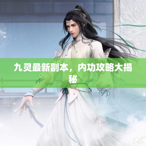 九灵最新副本，内功攻略大揭秘