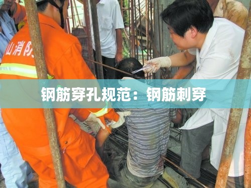 刚毅木讷 第2页