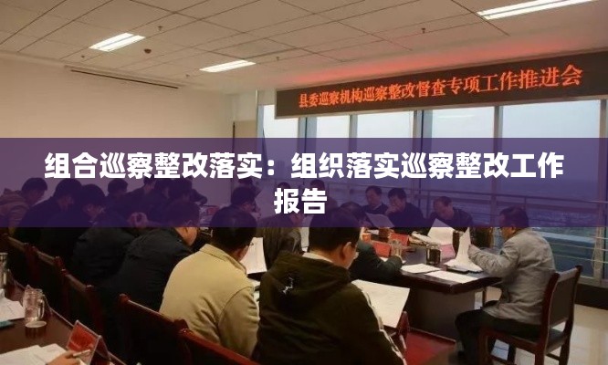 组合巡察整改落实：组织落实巡察整改工作报告 