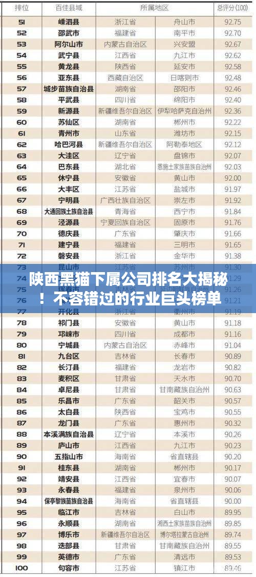 陕西黑猫下属公司排名大揭秘！不容错过的行业巨头榜单