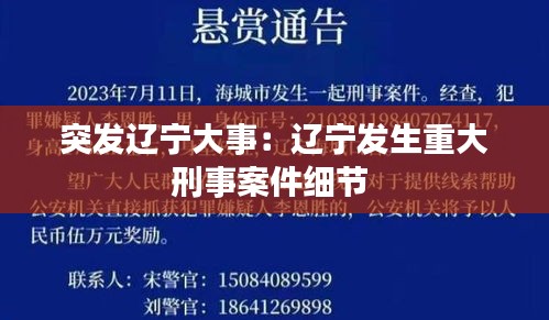 突发辽宁大事：辽宁发生重大刑事案件细节 