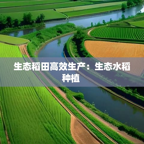 秀外慧中 第2页