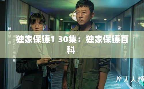 独家保镖1 30集：独家保镖百科 