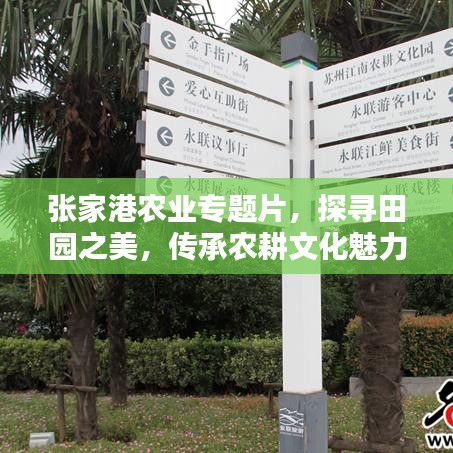 张家港农业专题片，探寻田园之美，传承农耕文化魅力