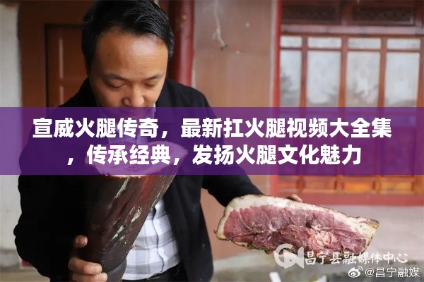 司空见惯 第2页