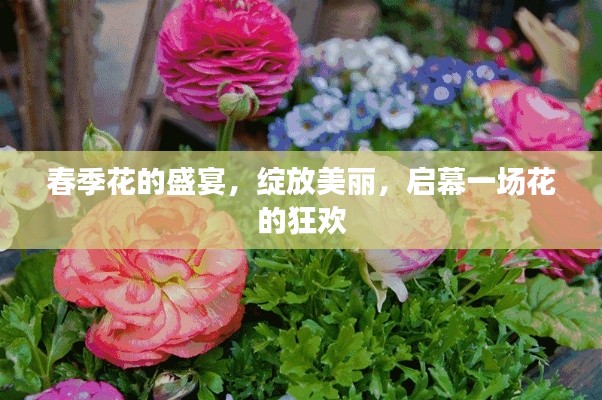 春季花的盛宴，绽放美丽，启幕一场花的狂欢