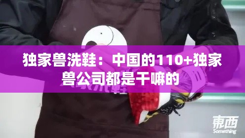 独家兽洗鞋：中国的110+独家兽公司都是干嘛的 