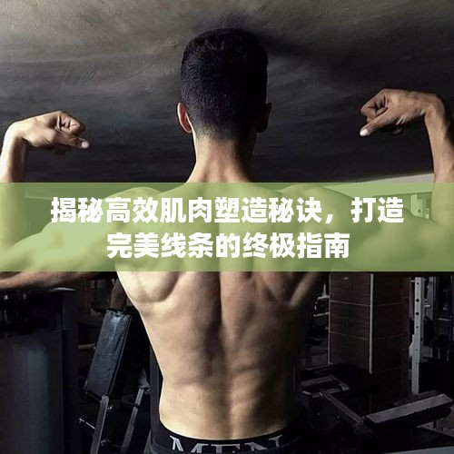揭秘高效肌肉塑造秘诀，打造完美线条的终极指南
