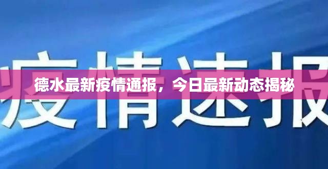 夯雀儿先飞 第2页