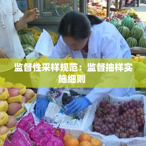 监督性采样规范：监督抽样实施细则 