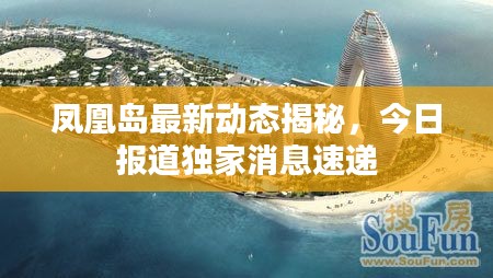 凤凰岛最新动态揭秘，今日报道独家消息速递
