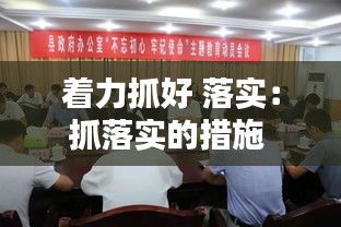 着力抓好 落实：抓落实的措施 