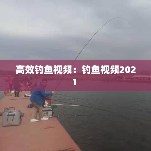 高效钓鱼视频：钓鱼视频2021 