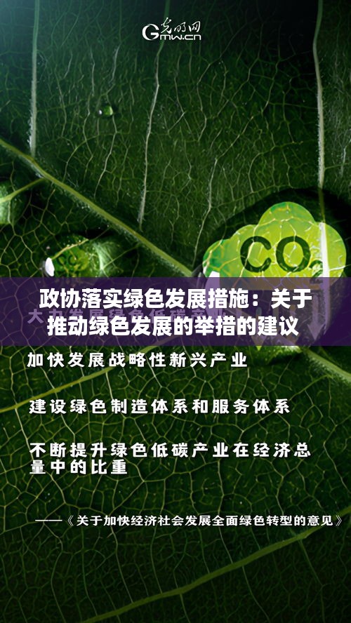 政协落实绿色发展措施：关于推动绿色发展的举措的建议 