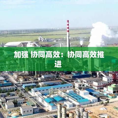 加强 协同高效：协同高效推进 