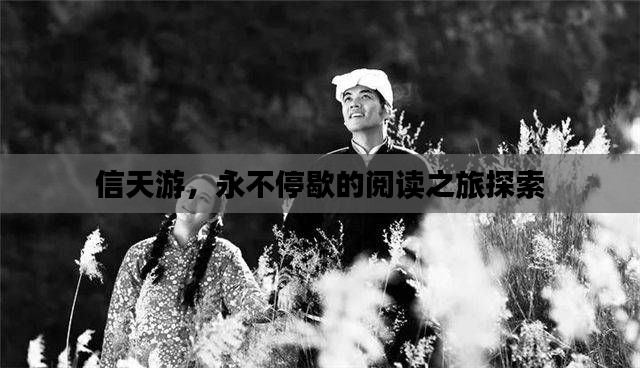 信天游，永不停歇的阅读之旅探索
