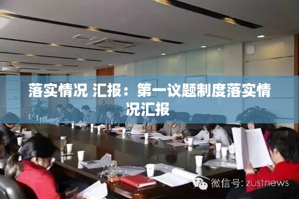 落实情况 汇报：第一议题制度落实情况汇报 
