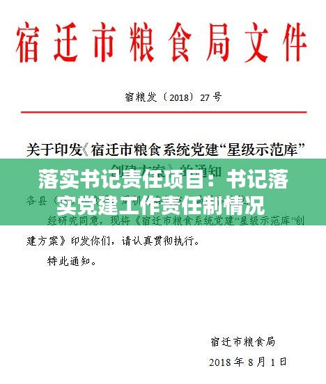 落实书记责任项目：书记落实党建工作责任制情况 