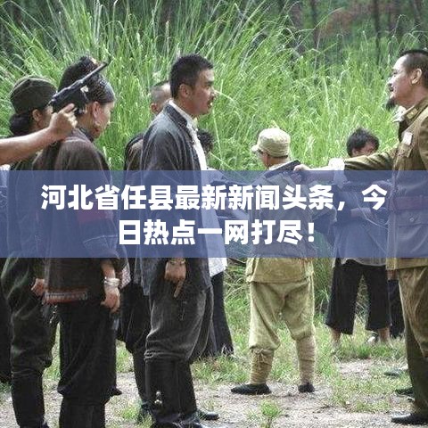 河北省任县最新新闻头条，今日热点一网打尽！