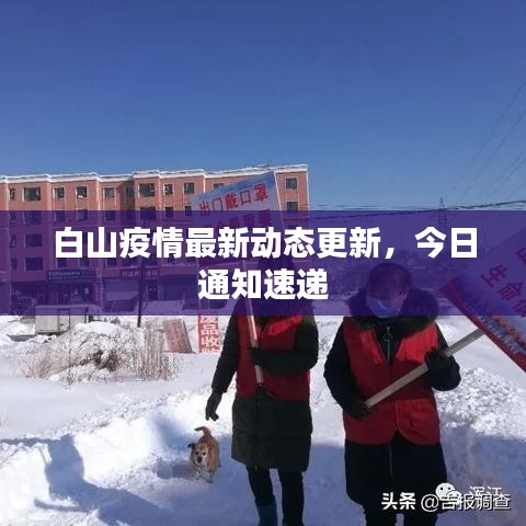 白山疫情最新动态更新，今日通知速递