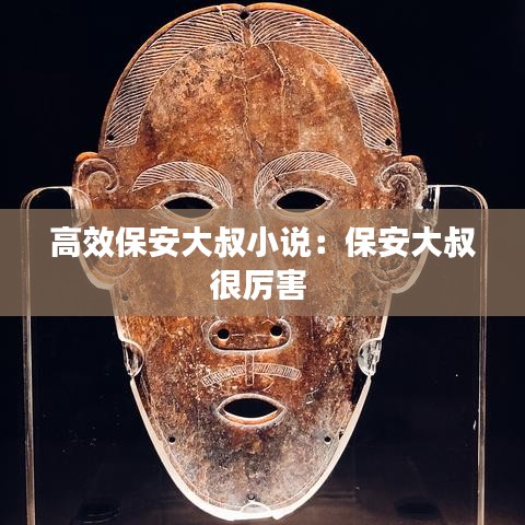高效保安大叔小说：保安大叔很厉害 