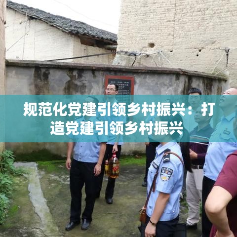 规范化党建引领乡村振兴：打造党建引领乡村振兴 