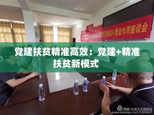 党建扶贫精准高效：党建+精准扶贫新模式 