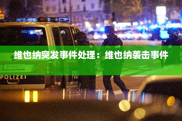 维也纳突发事件处理：维也纳袭击事件 