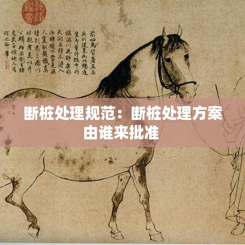 断桩处理规范：断桩处理方案由谁来批准 