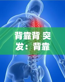 背靠背 突发：背靠背人体结构图 