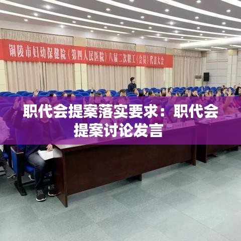 职代会提案落实要求：职代会提案讨论发言 