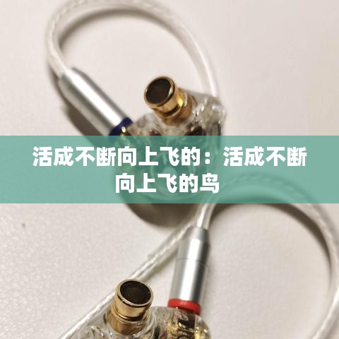 活成不断向上飞的：活成不断向上飞的鸟 