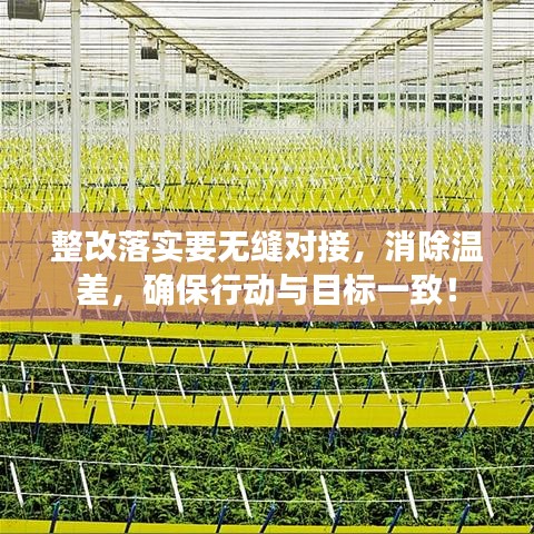 整改落实要无缝对接，消除温差，确保行动与目标一致！