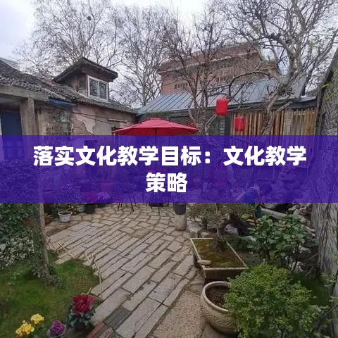 落实文化教学目标：文化教学策略 