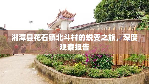 杳无音信 第2页