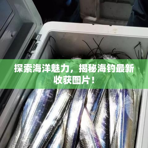 探索海洋魅力，揭秘海钓最新收获图片！