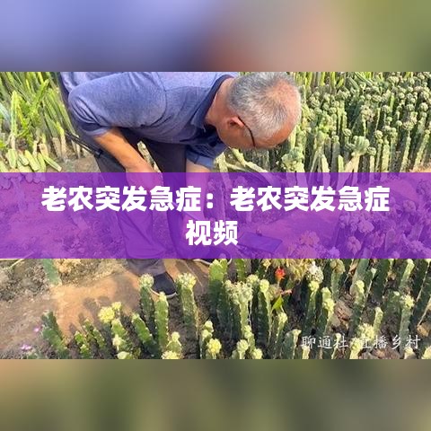 老农突发急症：老农突发急症视频 