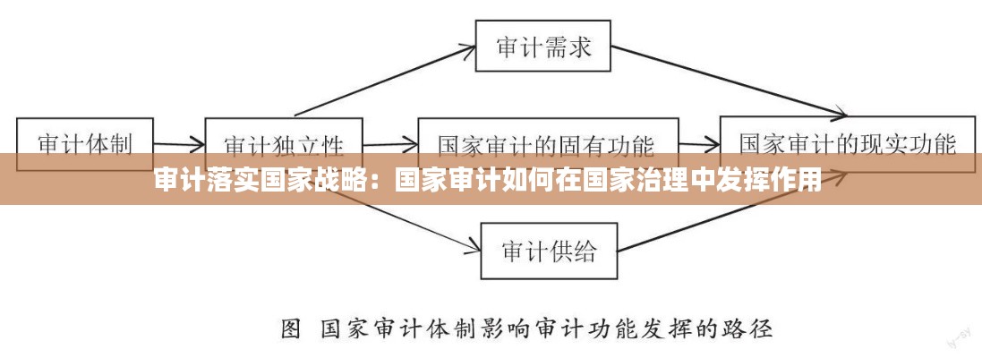 审计落实国家战略：国家审计如何在国家治理中发挥作用 