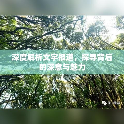 深度解析文字报道，探寻背后的深意与魅力