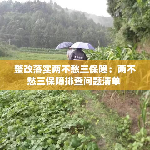 整改落实两不愁三保障：两不愁三保障排查问题清单 