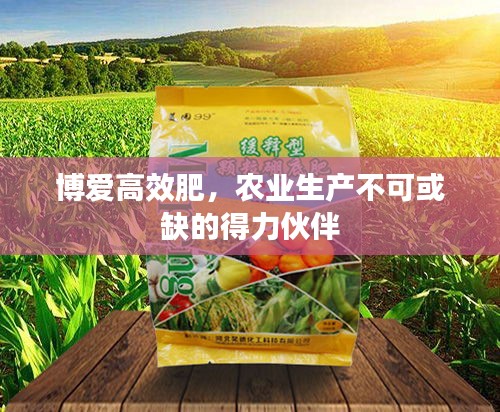 集思广益 第2页