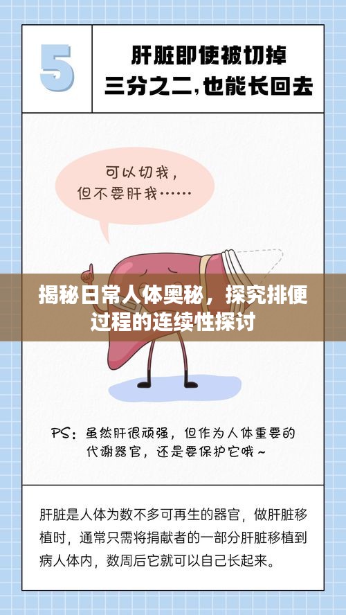 揭秘日常人体奥秘，探究排便过程的连续性探讨