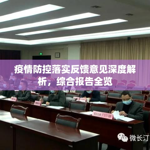 疫情防控落实反馈意见深度解析，综合报告全览