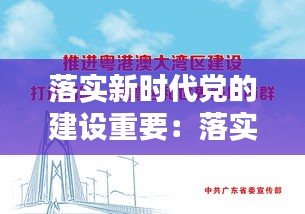 落实新时代党的建设重要：落实新时代党的建设重要内容 