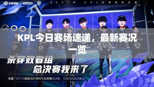 KPL今日赛场速递，最新赛况一览
