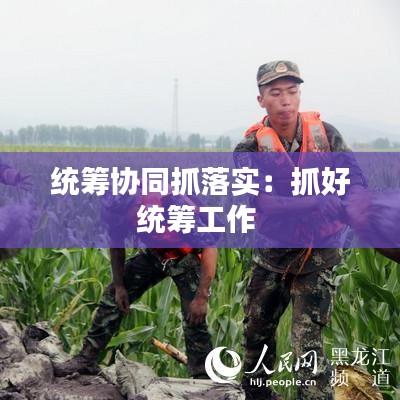 统筹协同抓落实：抓好统筹工作 