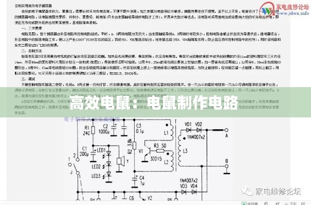 高效电鼠：电鼠制作电路 