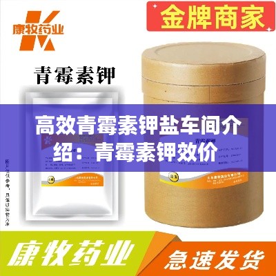 高效青霉素钾盐车间介绍：青霉素钾效价 